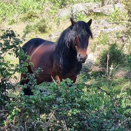 Casa Da Mimi Prázdninový dům