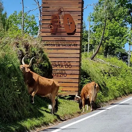 Hébergement de vacances Casa Da Mimi *