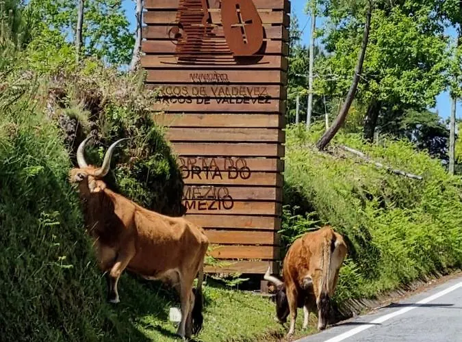 Dom wakacyjny Casa Da Mimi *