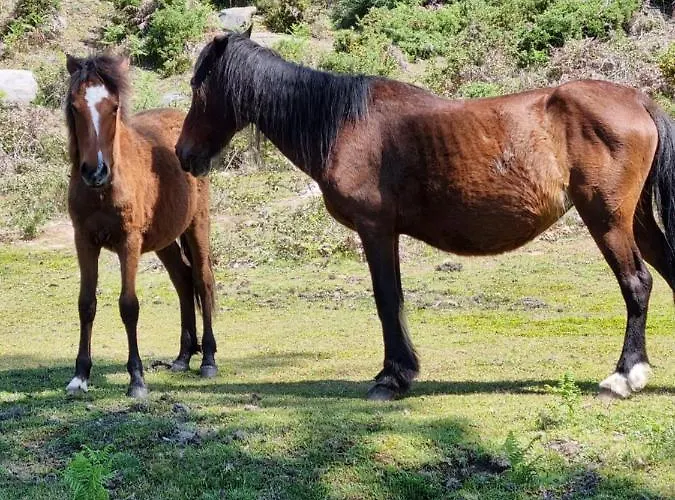 Σπίτι διακοπών Casa Da Mimi